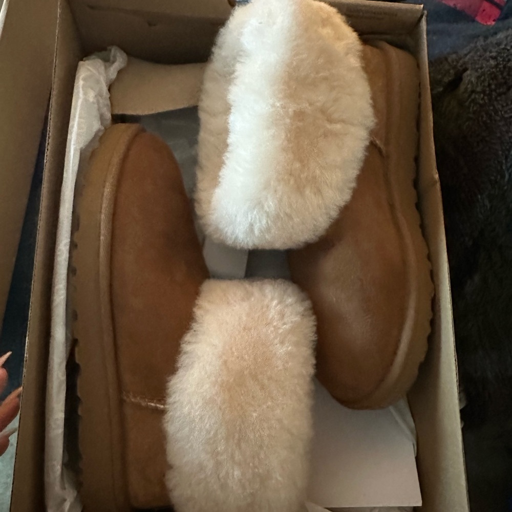 NIB UGG MINI FLUFF SIZE 7/38